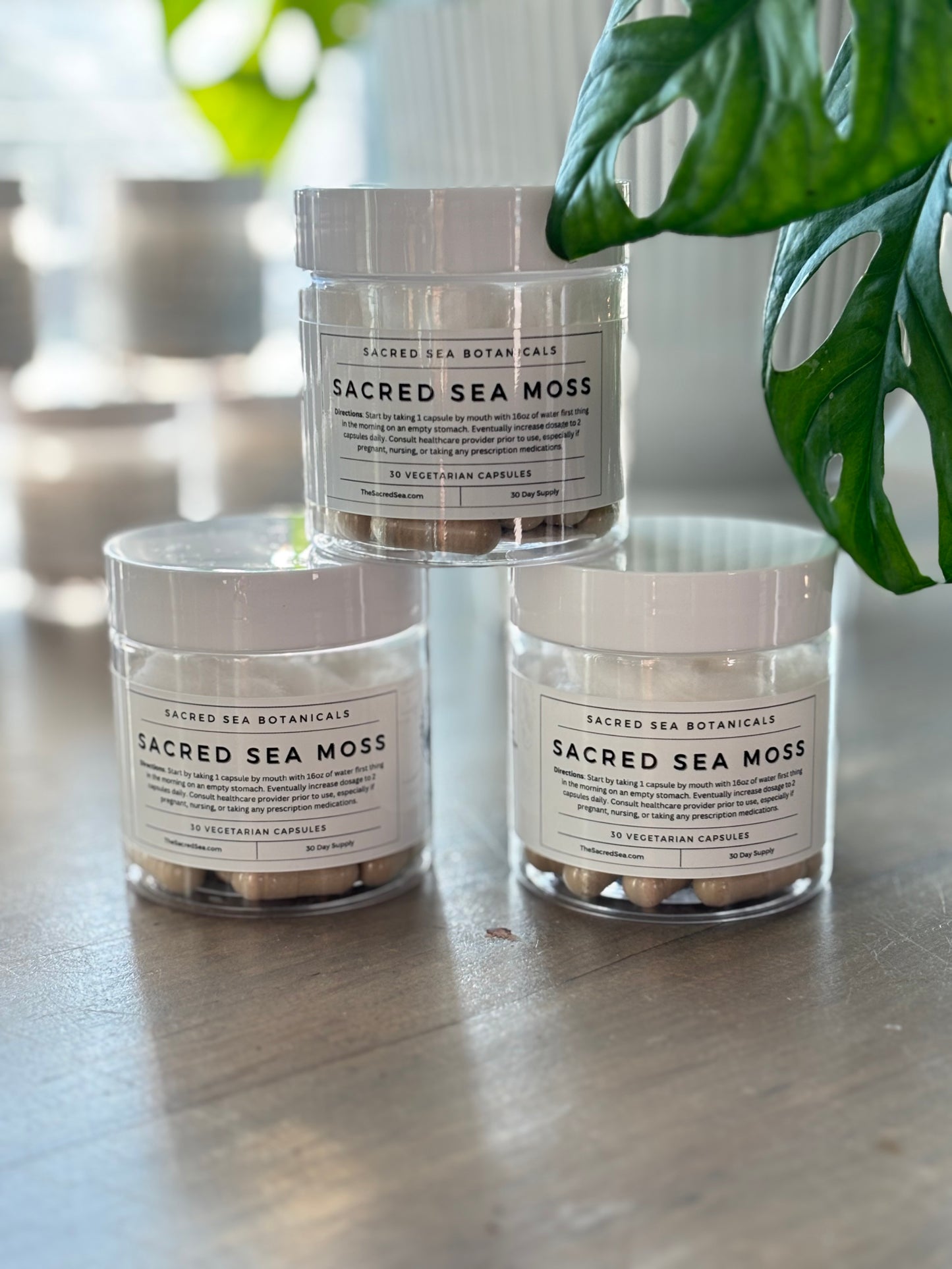 3 in 1 Sea Moss Capsules