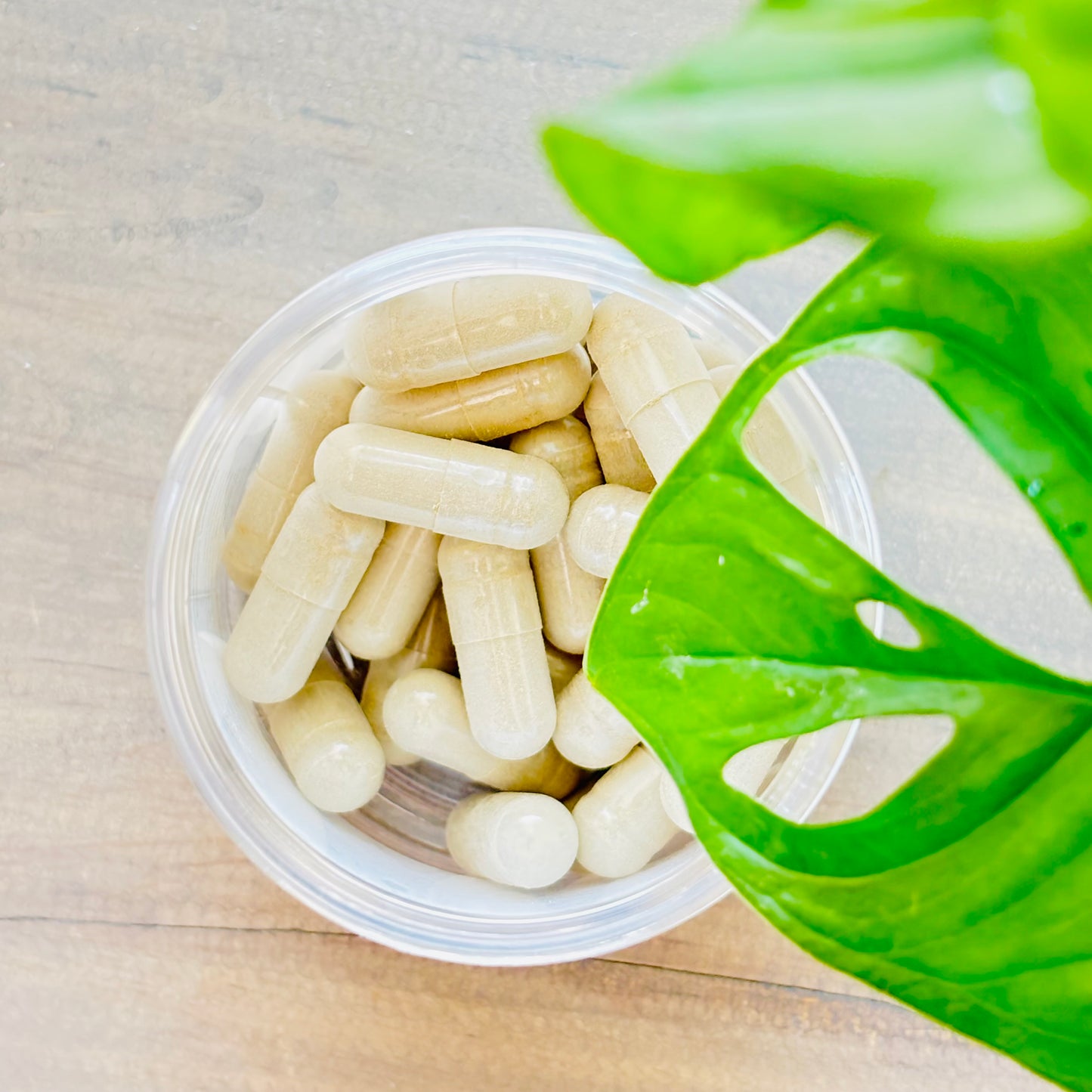 3 in 1 Sea Moss Capsules