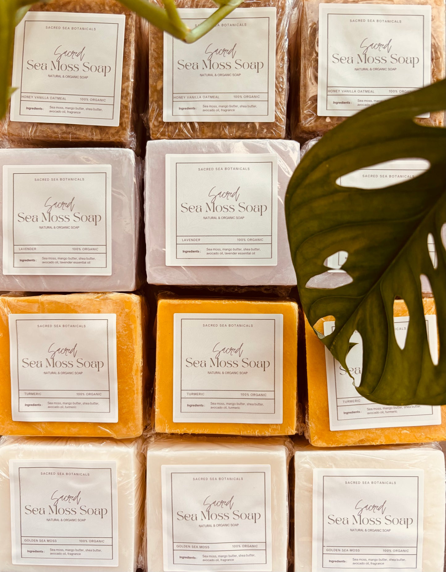 Sacred Sea Moss Soap